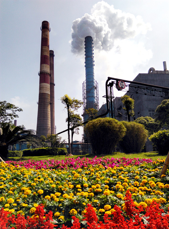 jxf���𷻡�[�й�]�ٷ���վ