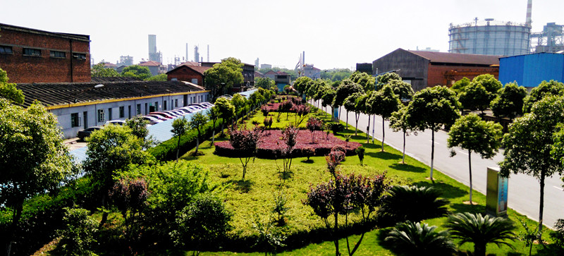 jxf���𷻡�[�й�]�ٷ���վ