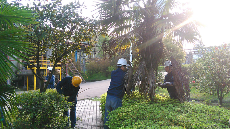 jxf���𷻡�[�й�]�ٷ���վ