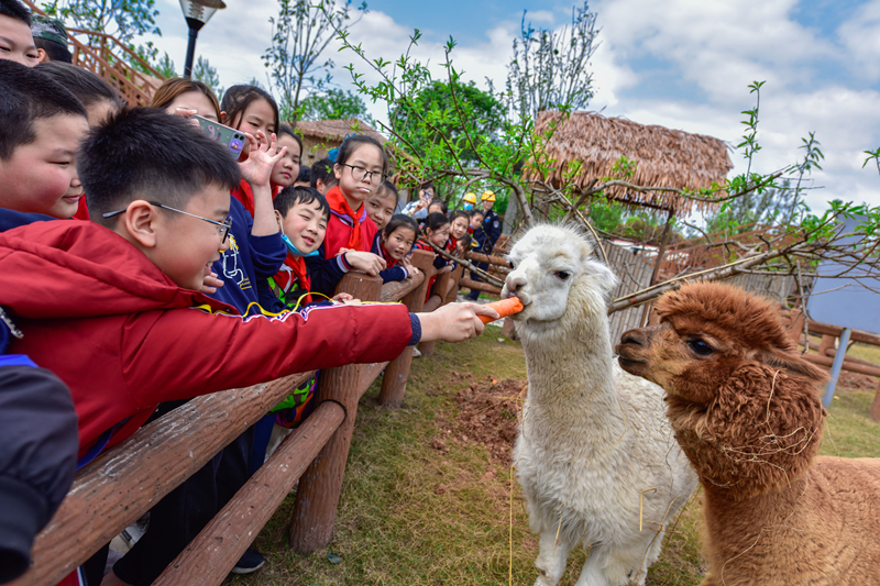 jxf���𷻡�[�й�]�ٷ���վ