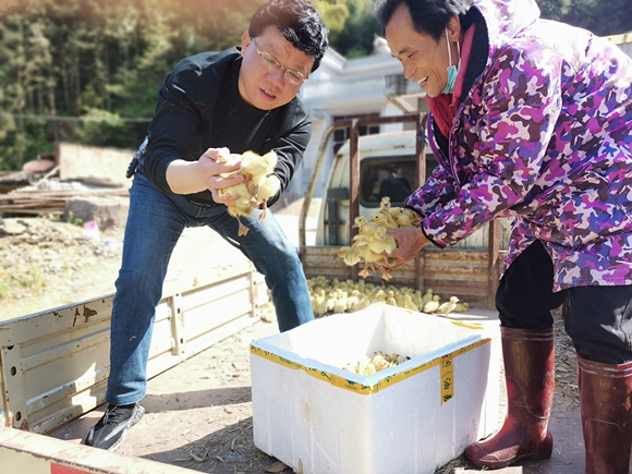 jxf���𷻡�[�й�]�ٷ���վ