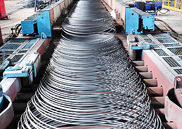 ԤӦ���ְ�������